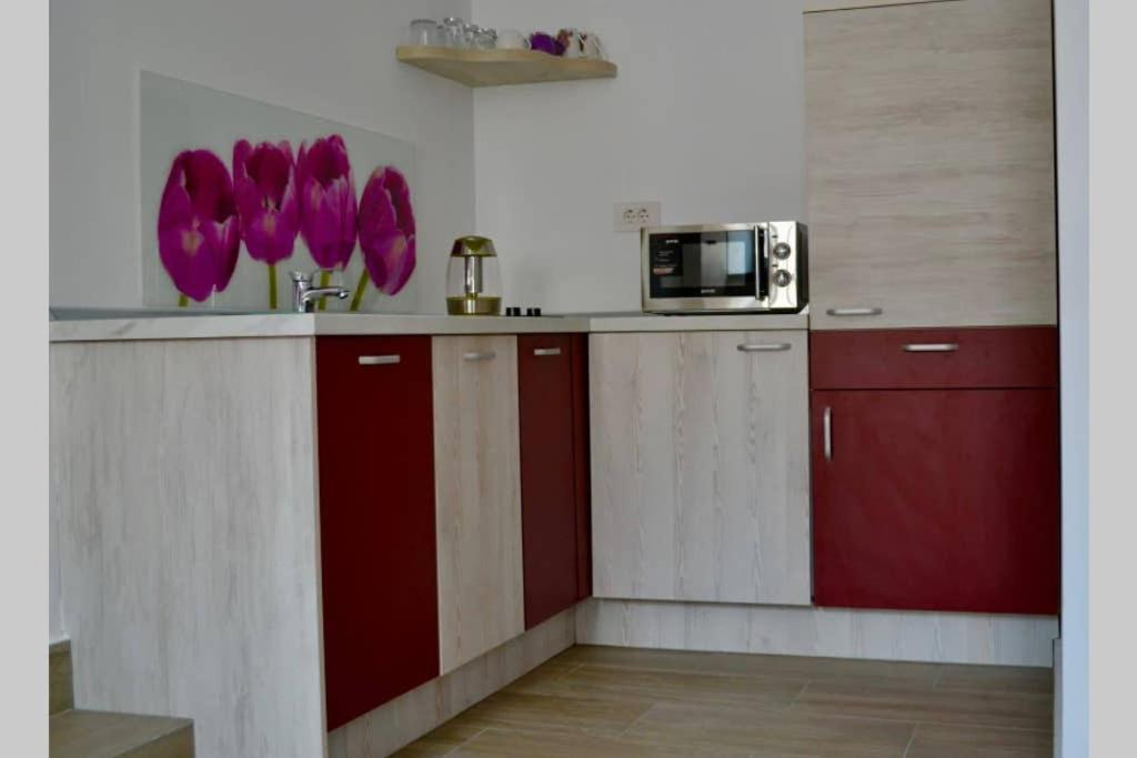 Zsizelle Rezidence Apartment Brașov Exterior foto